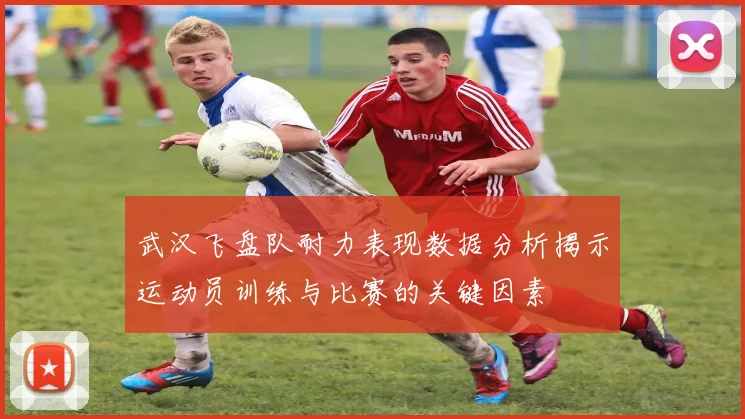 武汉飞盘队耐力表现数据分析揭示运动员训练与比赛的关键因素